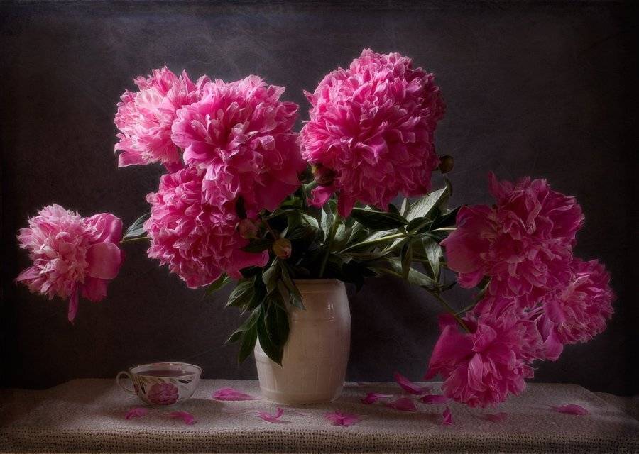 натюрморт, пион, розовый. чашка, лето, цветы, символ страсти, peony, pink, summer, flower, symbol of passion, still life, El. G.