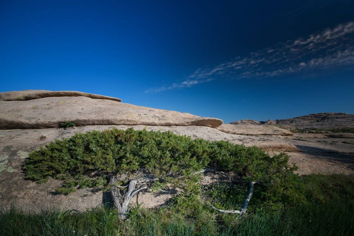 , Дмитрий Елисеев