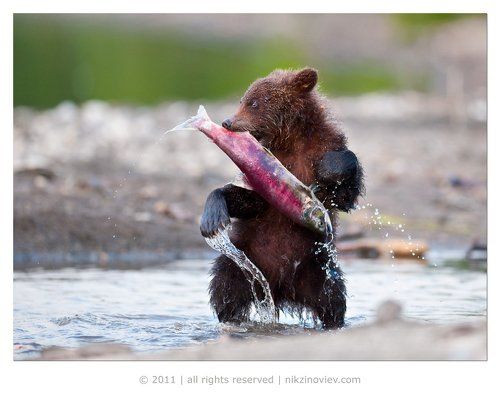 Ассс-аааааа!