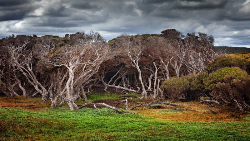 tasmania, marrawah The crowd фото превью