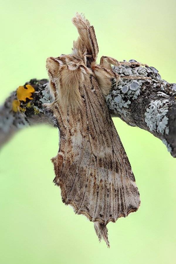 , Сергей Таланов