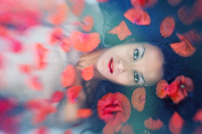 Wildflower фото превью