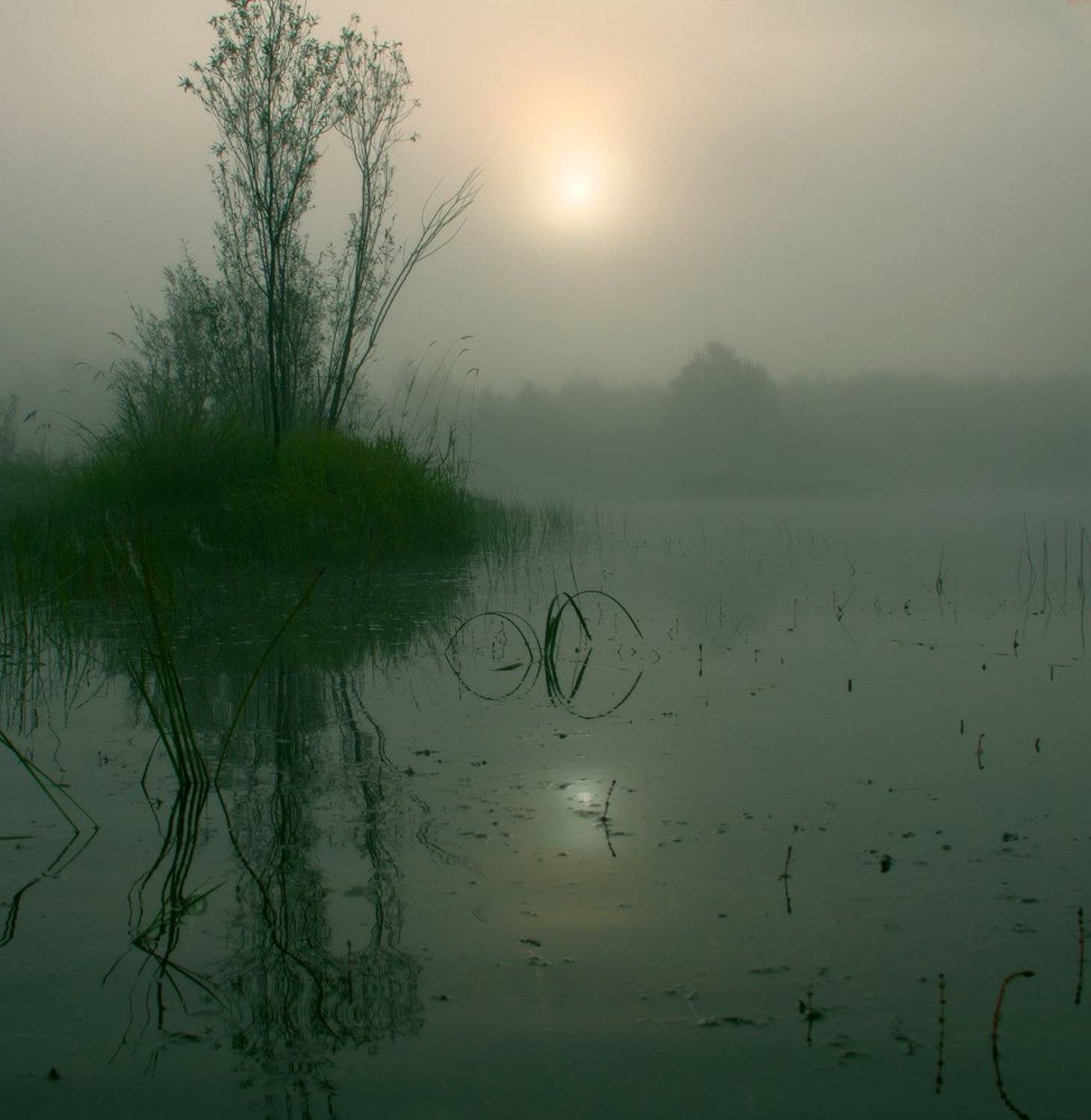 , Николай Морский