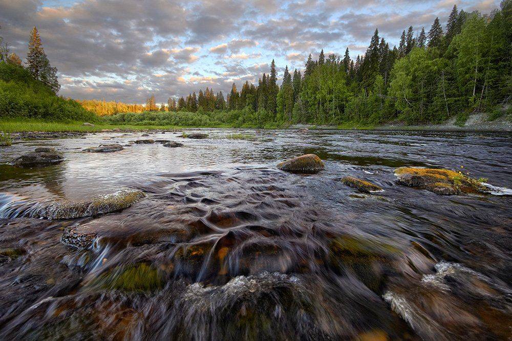 север, солза, Илья Бармин
