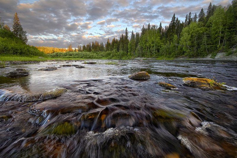север, солза Таёжная речка фото превью