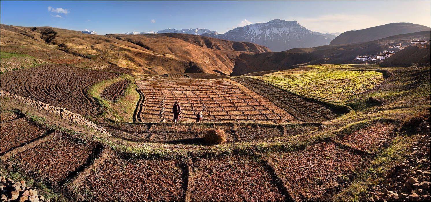 himachal, pradesh, india, Yury Pustovoy