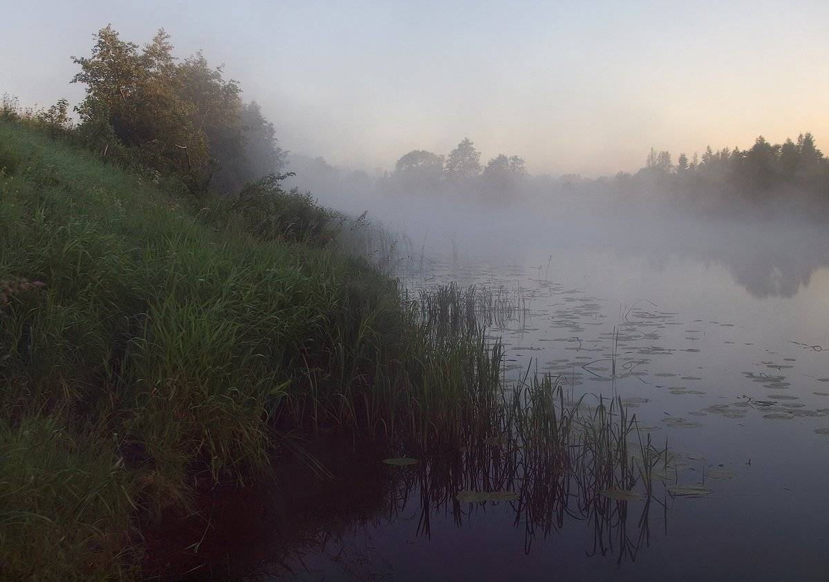 , Владимир Перепечаев