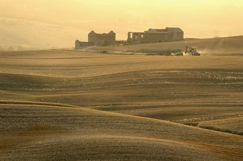 полевые работы фото превью