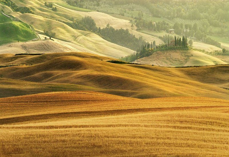 волнового поля фото превью