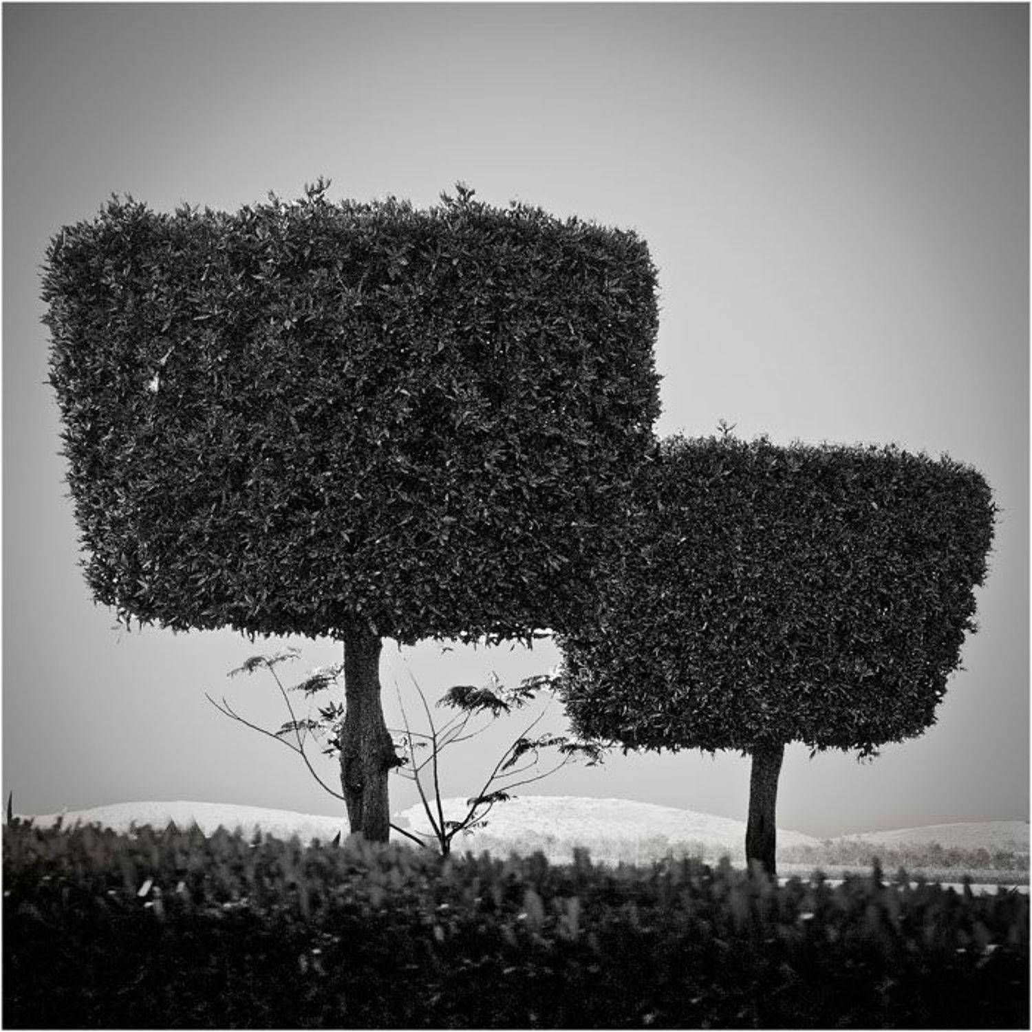 , Аз Дмитрий