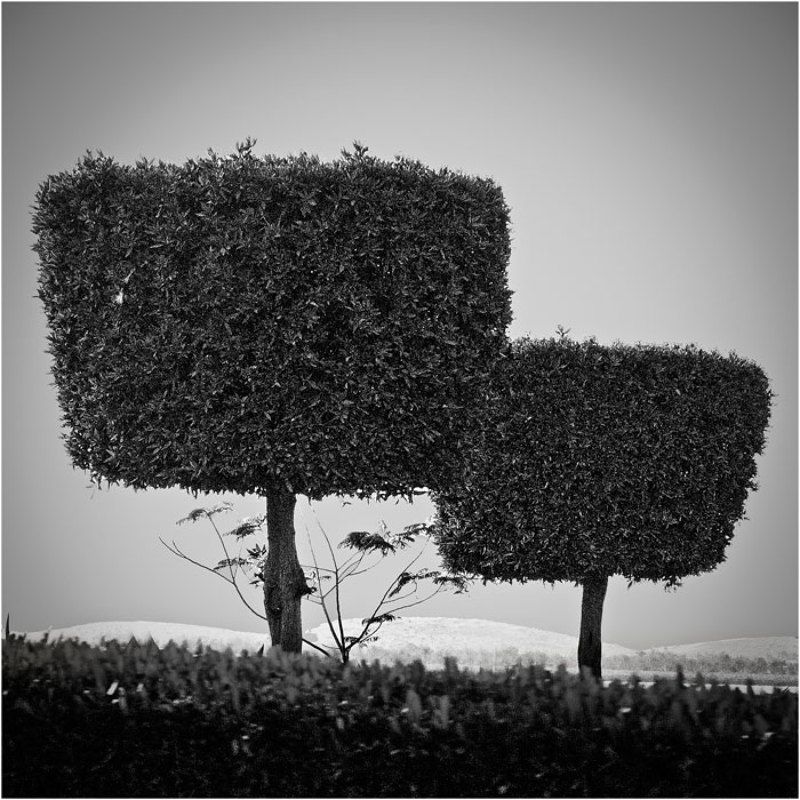 [ TT] фото превью