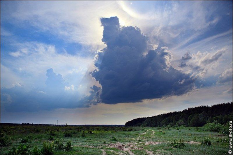 туча Туча фото превью