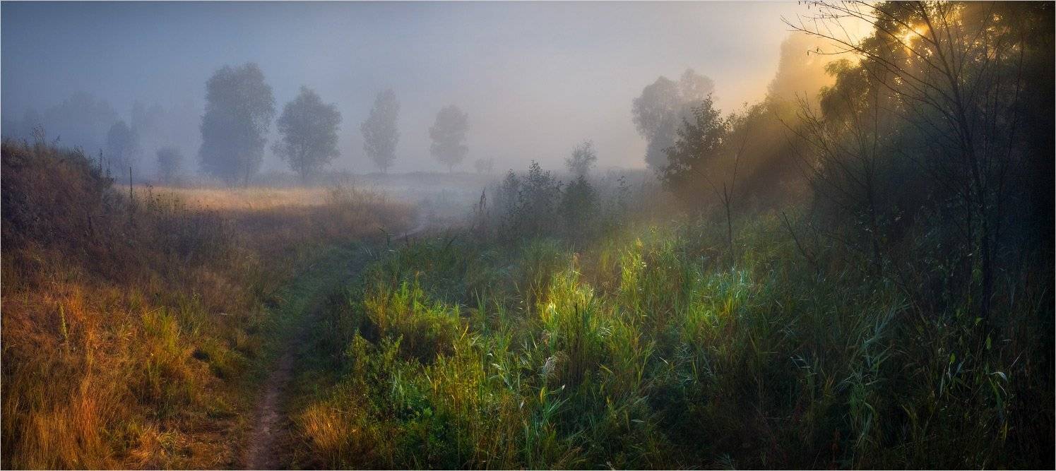 утро, тропа, лучи, туман, Александр Киценко