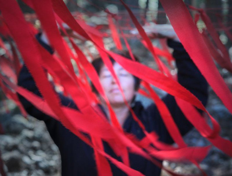 полуденный сон фото превью