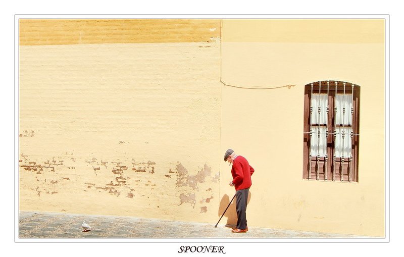 * * * фото превью