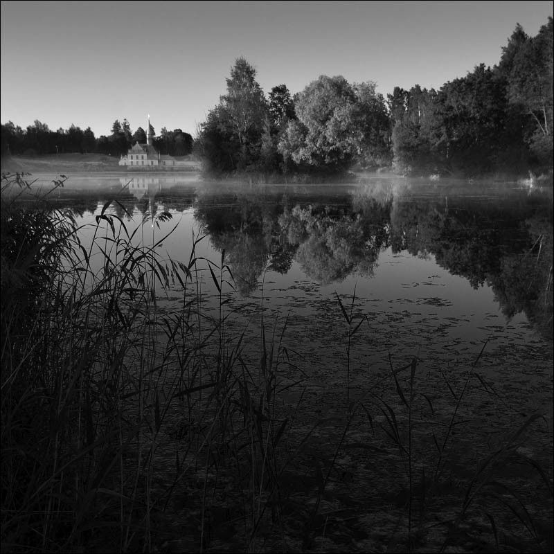 Летним утром на Чёрном озере фото превью