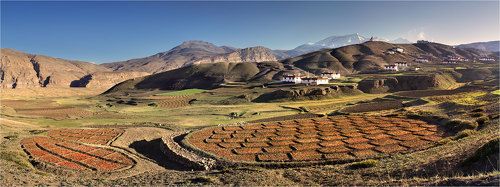 Северная Индия, малый Тибет.