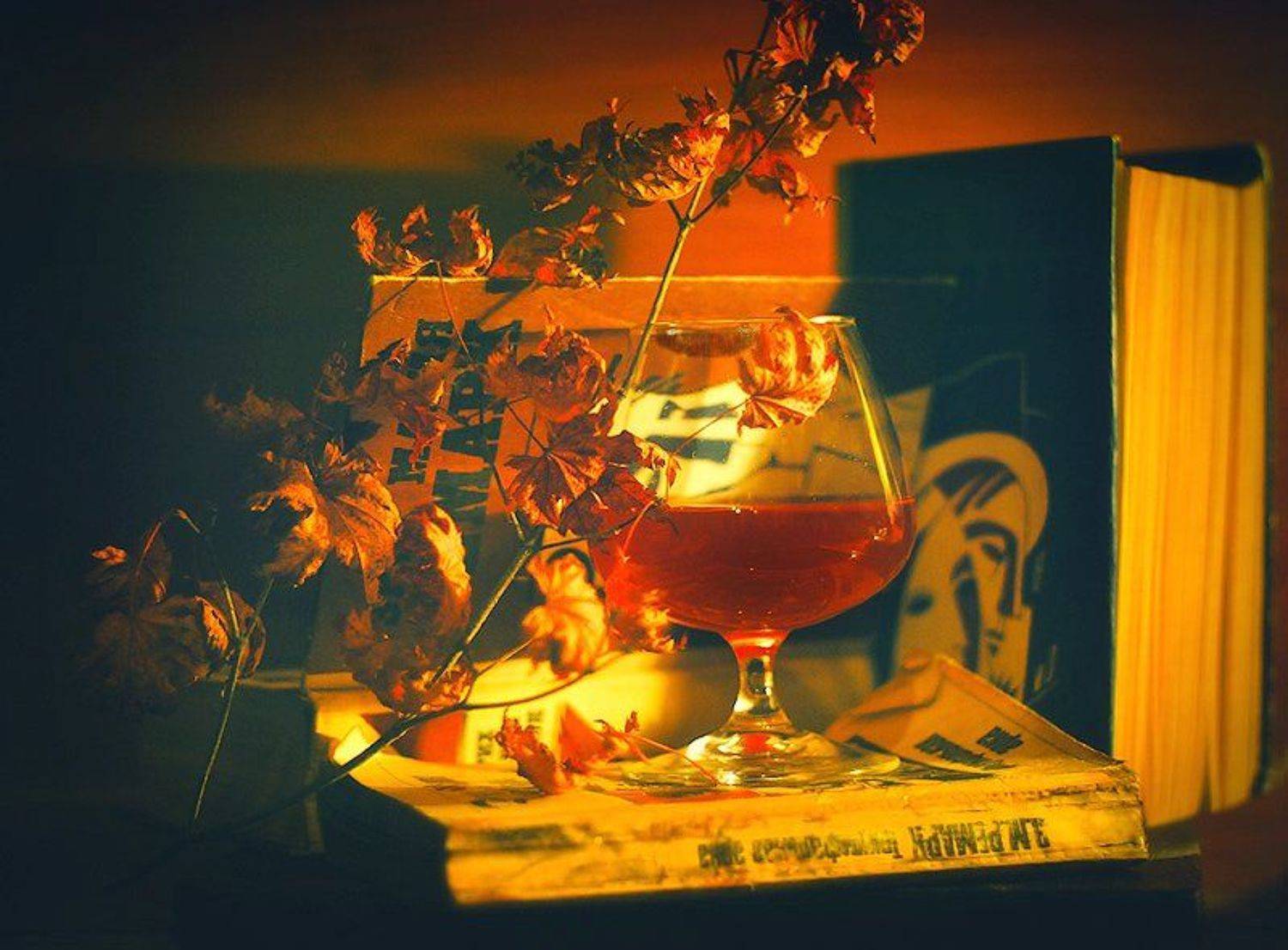 ремарк, натюрморт, книги, Зуева Юля