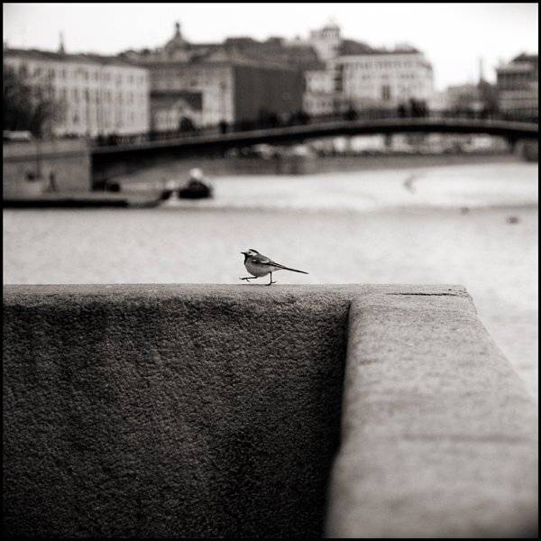 , Александр Панов