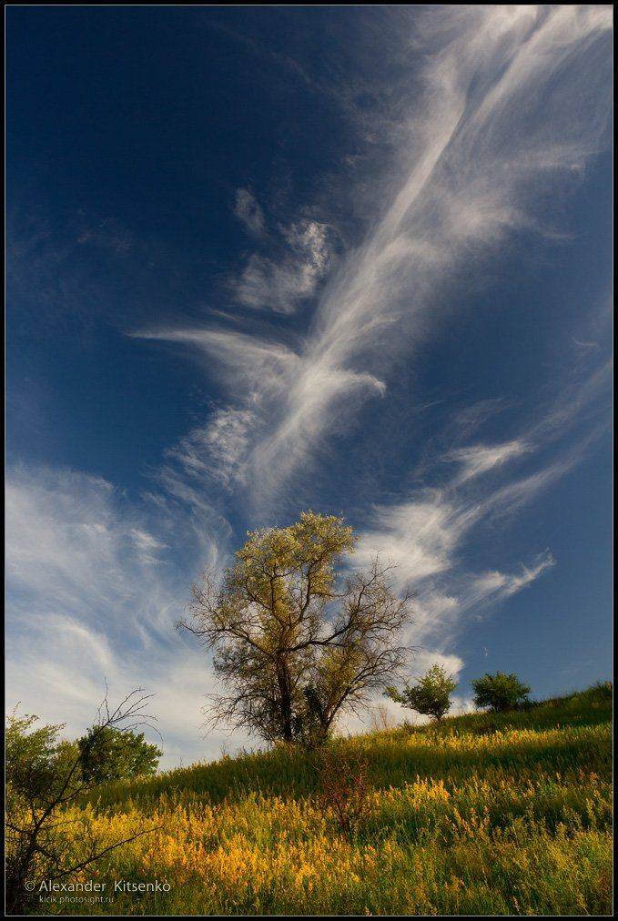 вечер, облака, склон, холм, трава, цветы, Александр Киценко