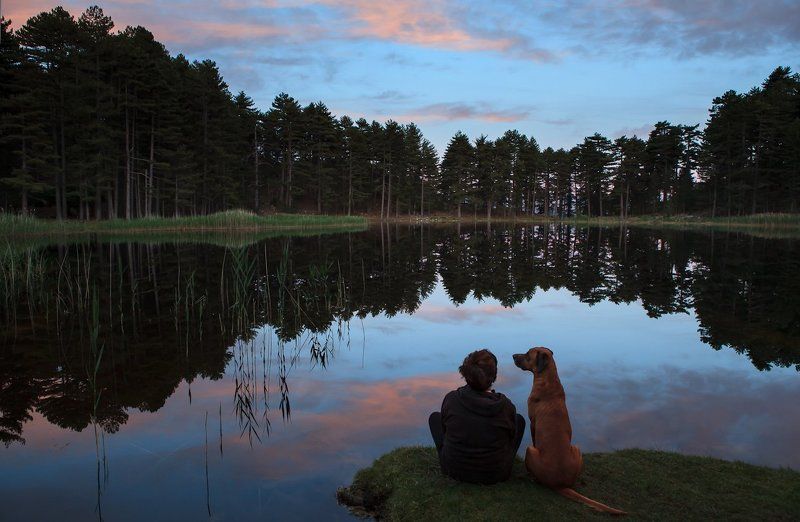 друзья фото превью