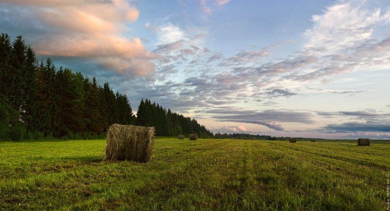 поле, кимры, сено, стог, лес, небо, закат, красота Русское поле фото превью