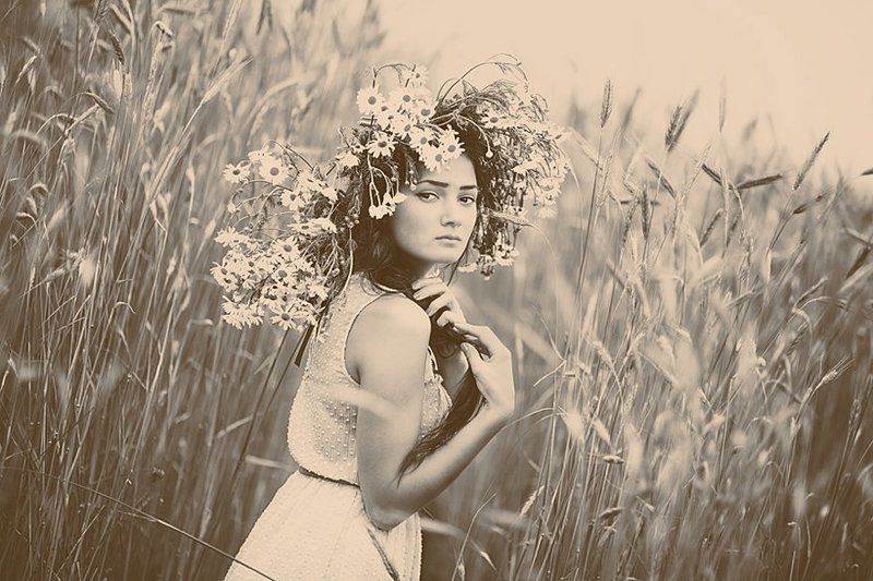 портрет,девушка,поле,цветы,лето *** фото превью