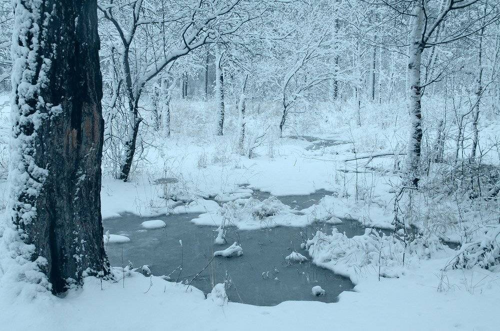 , Николай Морский