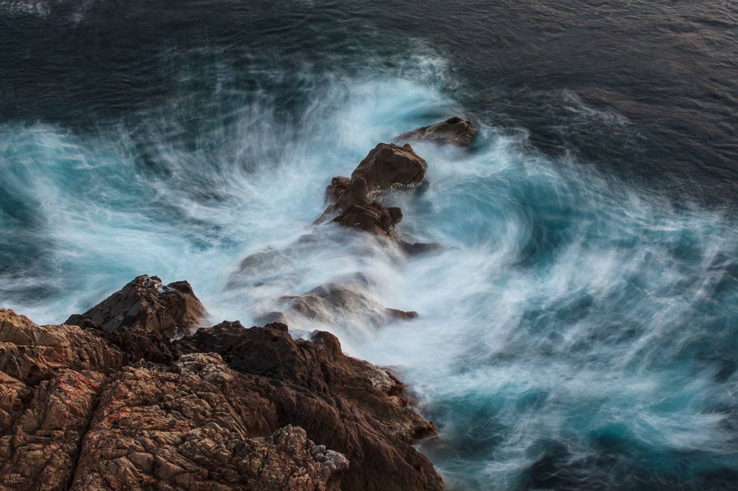 , Надежда Звягина / New Zealand