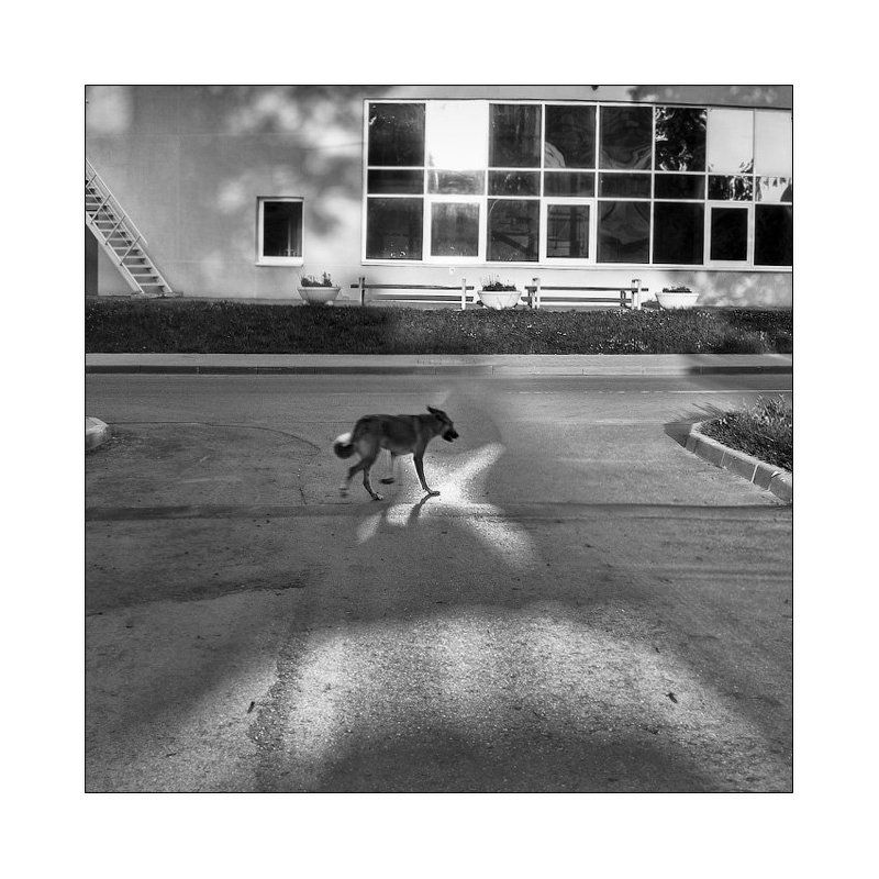 отражения, метафизика [xD] фото превью