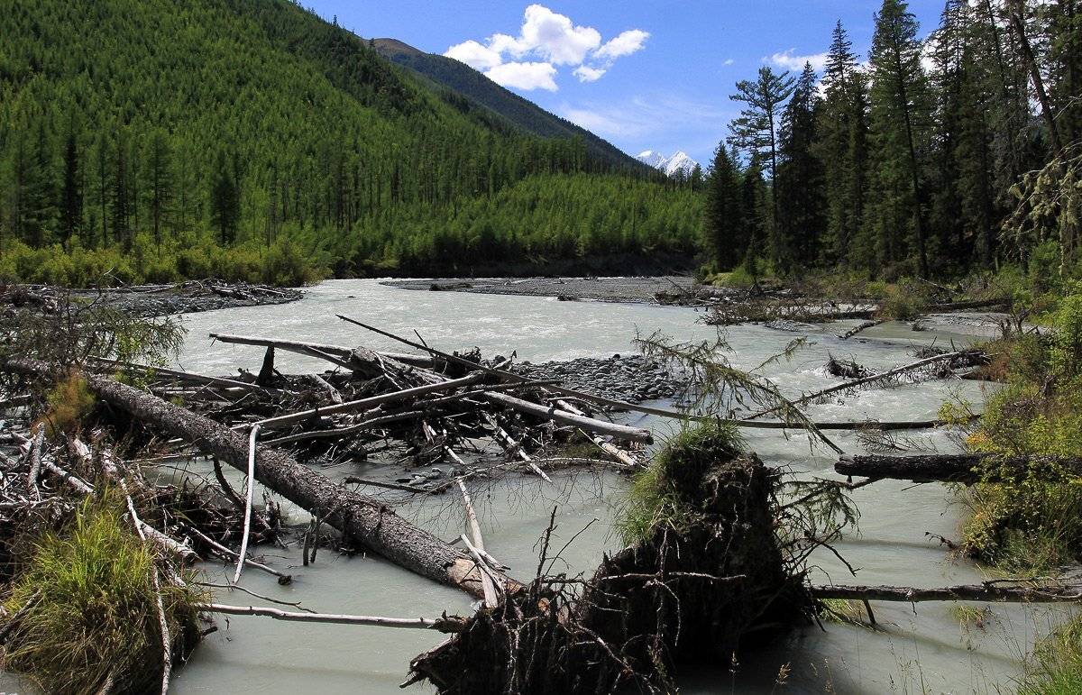 иедыгем, белуха, делоне, Артем Головин