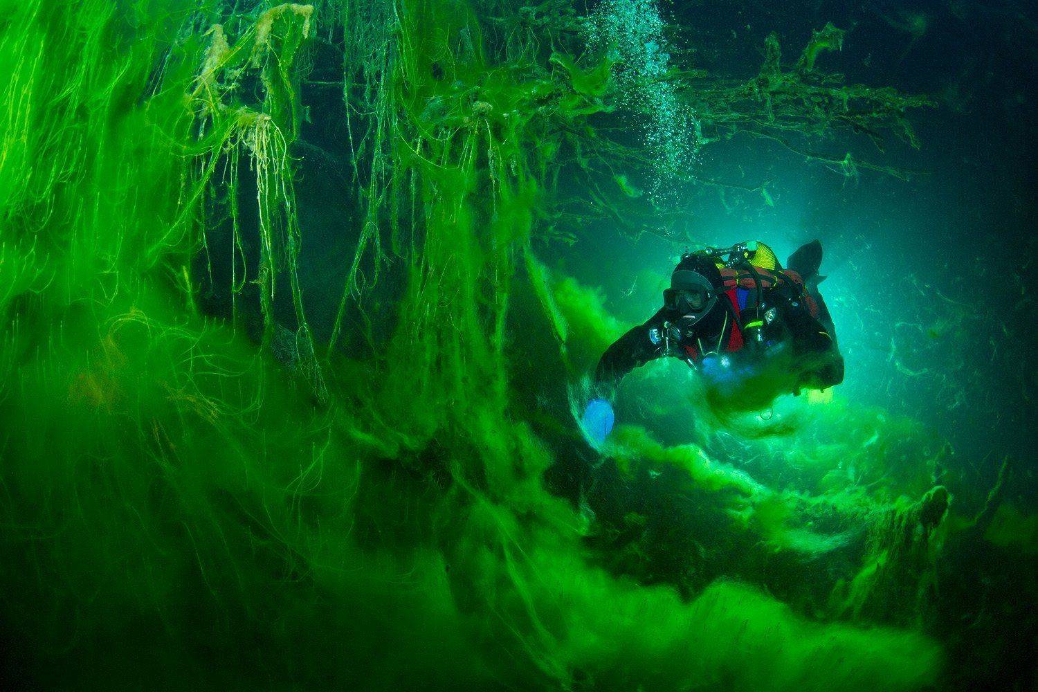 , Витя Лягушкин