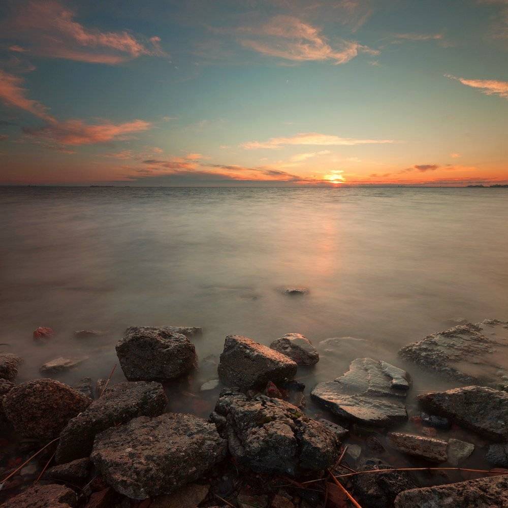 , Евгений Кондрашков