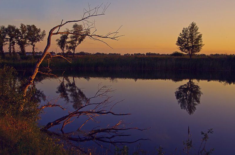 Вечер фото превью