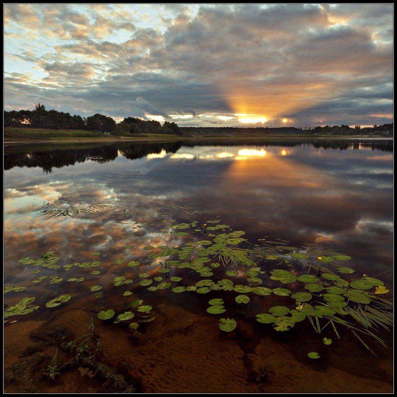 , Алексей Шандуров
