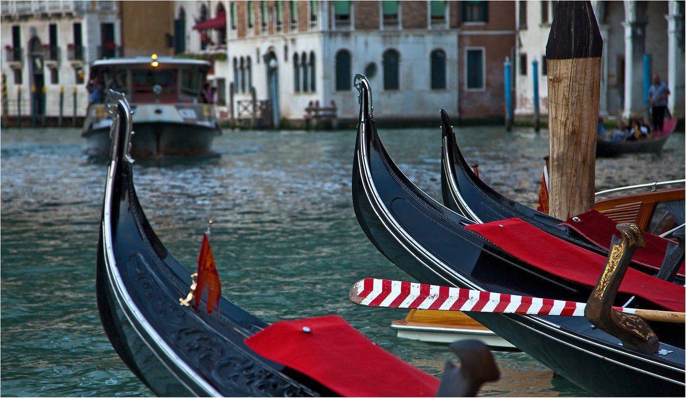италия, венеция, большой канал, Сергей Гаспарян