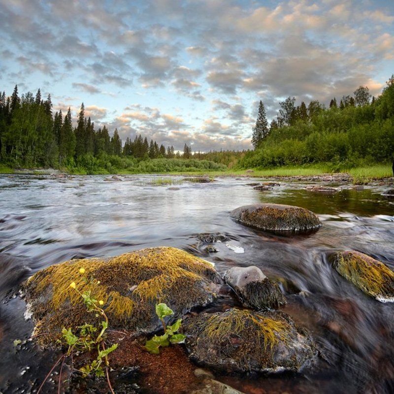 север Вечерело фото превью