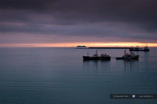 Командорский рейд