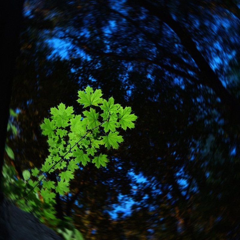 . фото превью