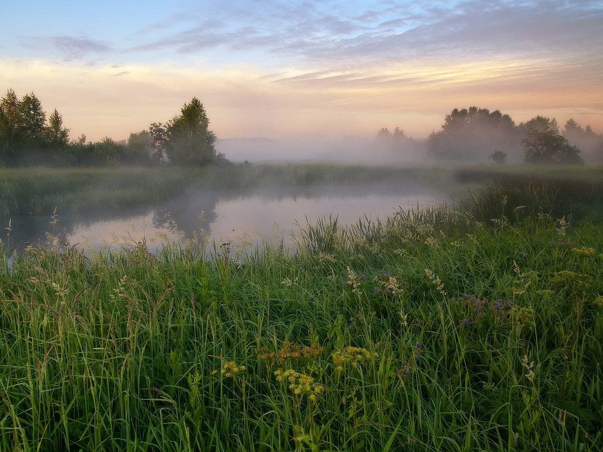 , Марина Брыдня