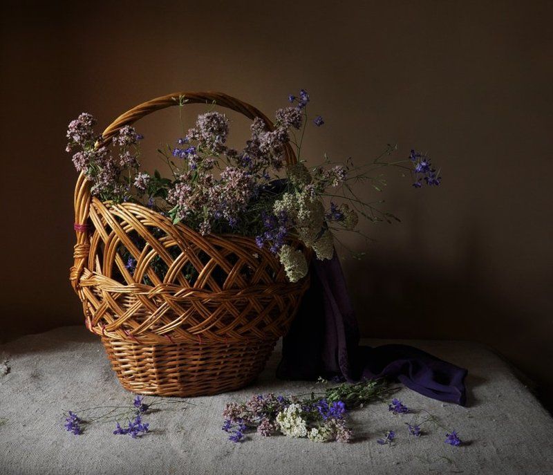 лето, июнь, душица, бессмертник, тысячелистник полевых цветов корзина фото превью