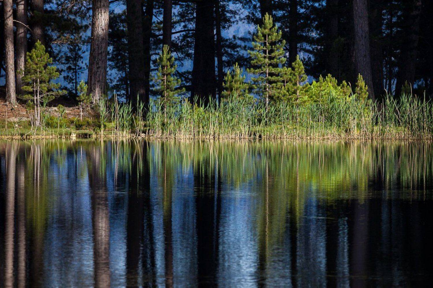 , Надежда Звягина / New Zealand