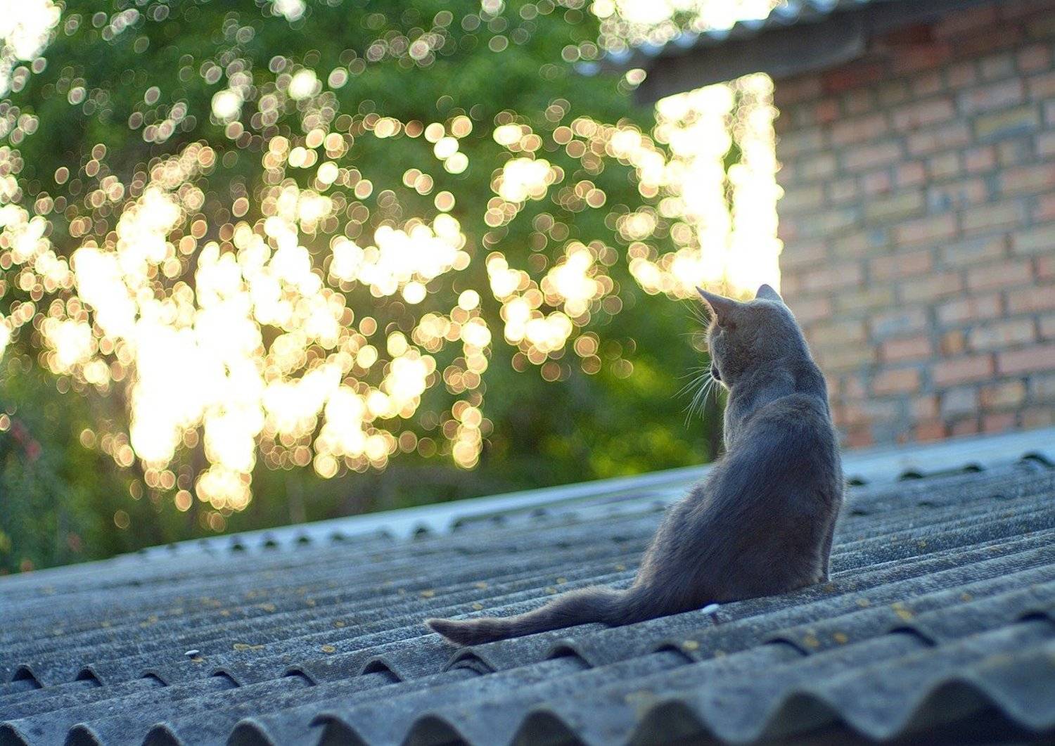 , Миронов Сергей