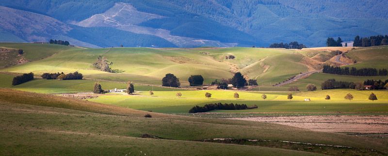 ПАСТОРАЛЬНАЯ СТОРОНА... фото превью