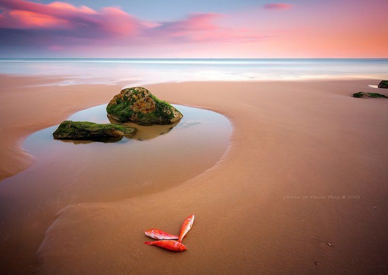 Three days of happiness. фото превью