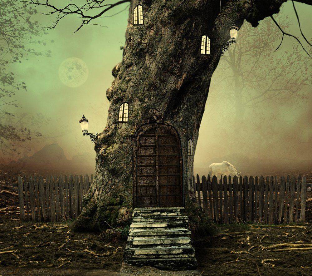 autumn, window, light, house, tree, leaf, fence, wood, horse, stairs, ground, ligt, Caras Ionut