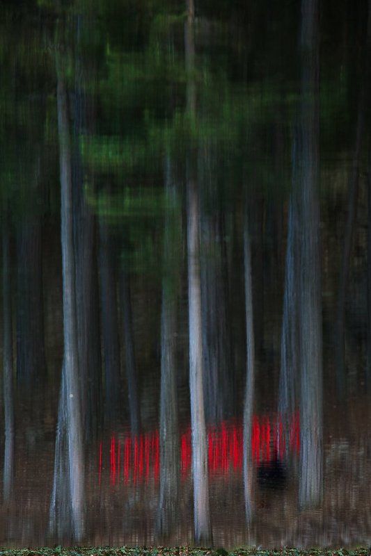 Land Art фото превью