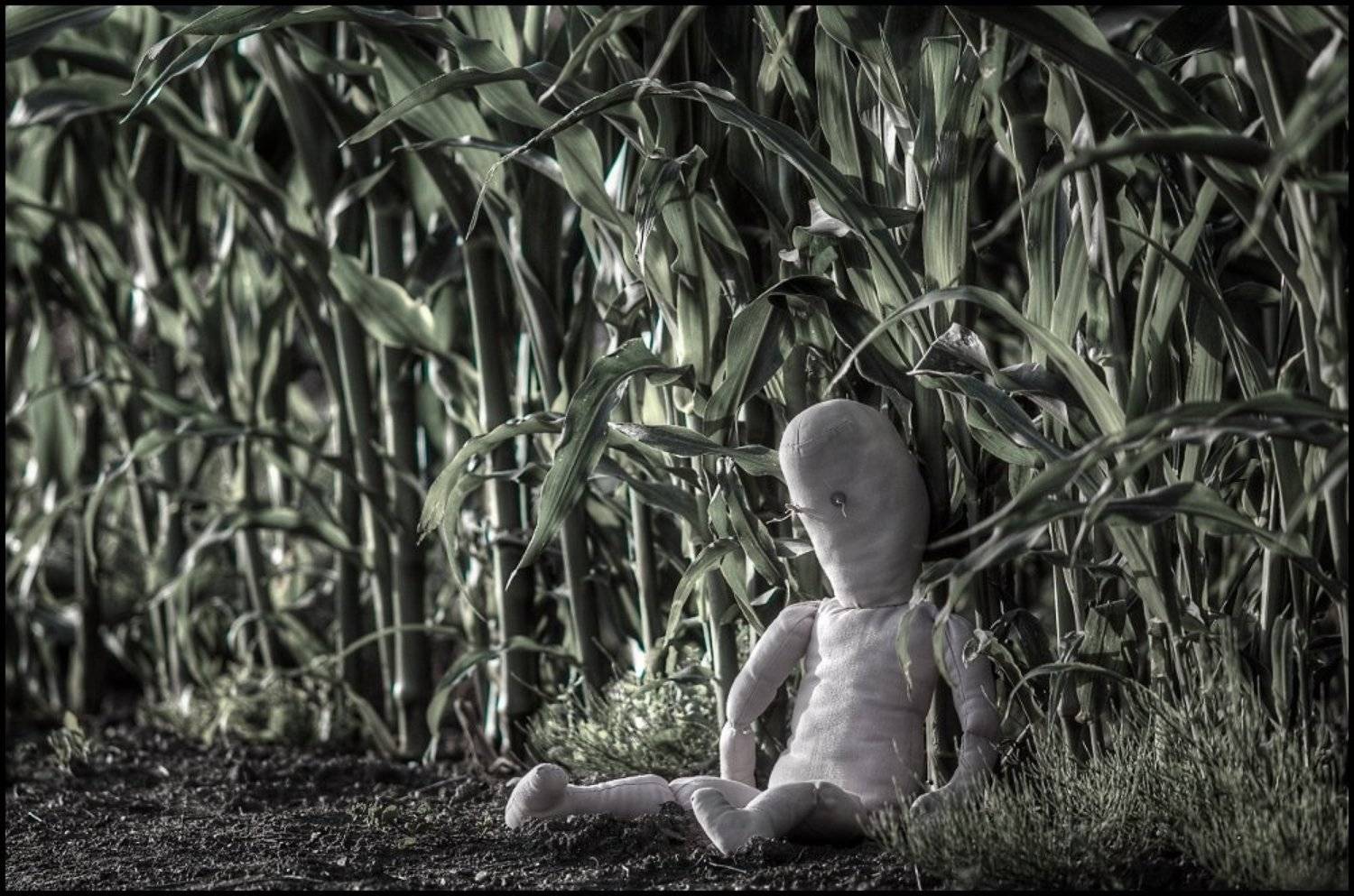 , Remigiusz Ossolinski