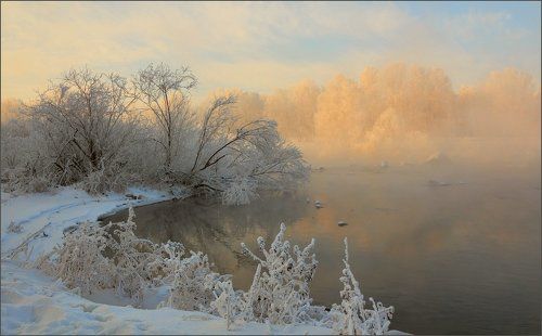 А на том берегу - незабудки цветут