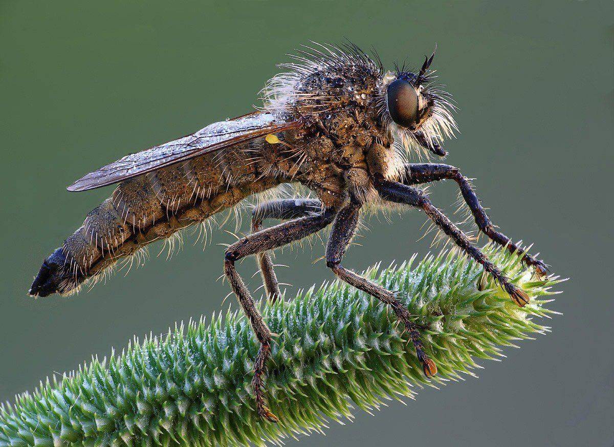 , Вадим Ходаковский